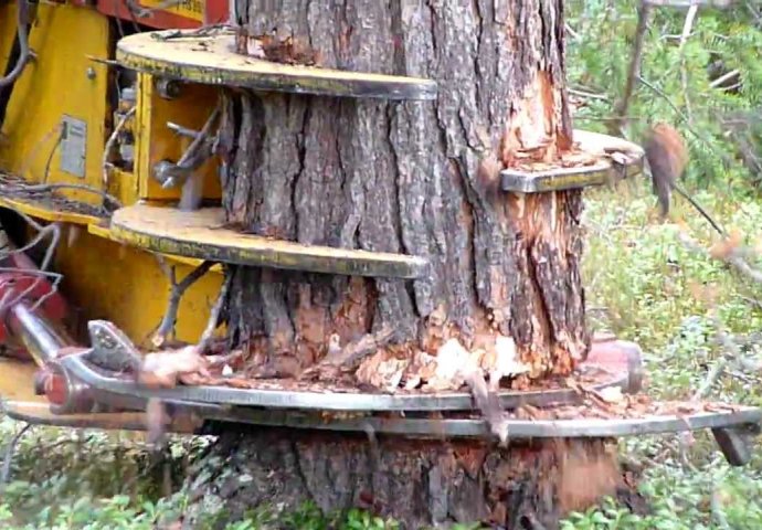 Drvoprerađivački kapaciteti u TK-u daleko veći od mogućnosti 'Šuma TK'