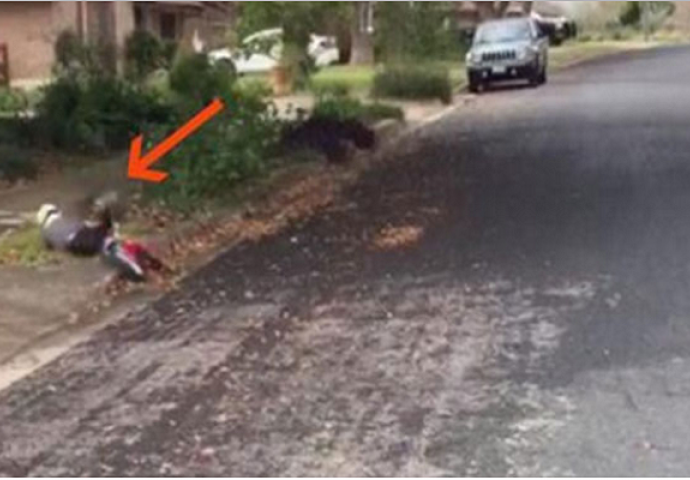 Mali dječak je pao s bicikla: Kada vidite ko mu dolazi u pomoć, ostat ćete bez riječi (VIDEO)