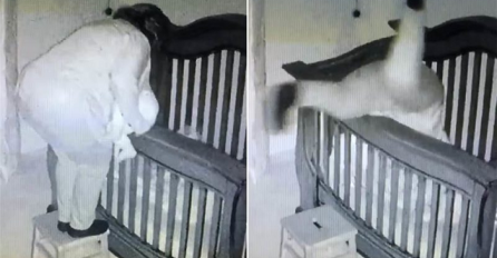 Baka je čuvala bebu, a onda je sigurnosna kamera snimila neviđenu scenu (VIDEO)