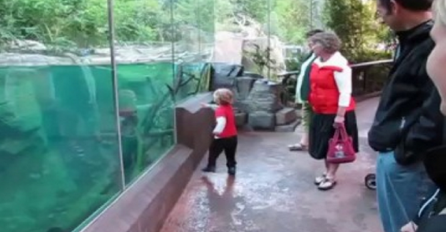 Dječak se igrao ispred akvarija u zoološkom vrtu, niko nije očekivao da će se desiti ovo (VIDEO)