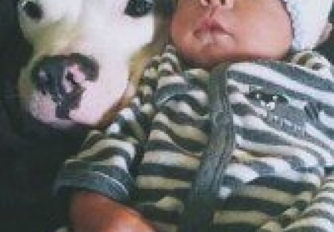 Ostavili su bebu sa ovom ‘smrtonosnom zvijeri’,  a onda su shvatili šta joj je ona učinila!