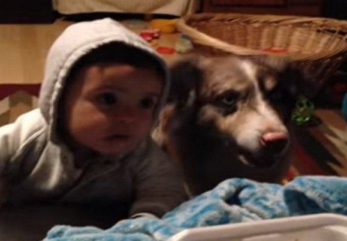 Učila je bebu da kaže mama: Umrijet ćete od smijeha kad čujete šta je pas rekao!