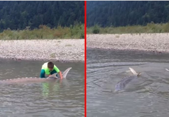 Dječak izvukao čudovište iz rijeke, strašna neman ima 272 kilograma (VIDEO)