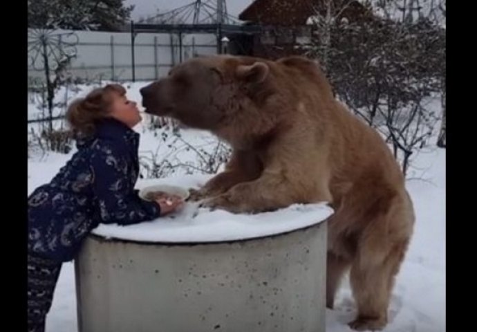 Medvjed se pojavio u njenom dvorištu, a ono što je uslijedilo ćete posmatrati u nevjerici (VIDEO)