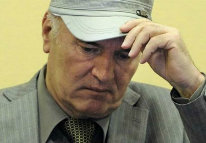Tužilac Tieger - Namjera optuženog Mladića se zove genocid