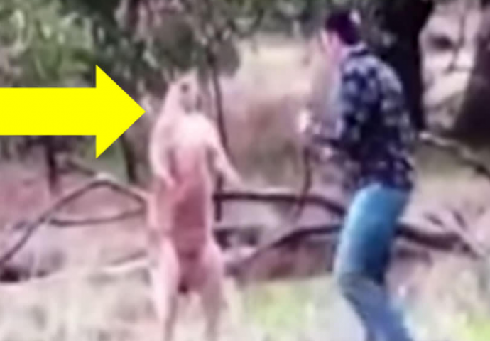 Ugledao kengura kako mu davi psa, a onda je učinio nešto o čemu priča cijeli svijet (VIDEO)