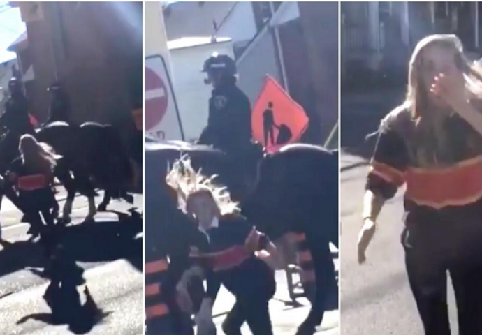 Smije joj se cijeli svijet: Plavuša udarila policijskog konja i zažalila nakon par sekundi (VIDEO)