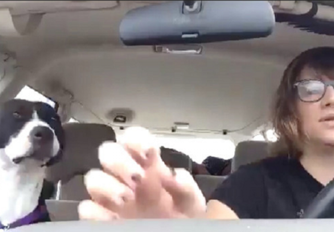 Bila je to obična vožnja za nju i psa, sve dok ova pjesma nije počela na radiju (VIDEO)