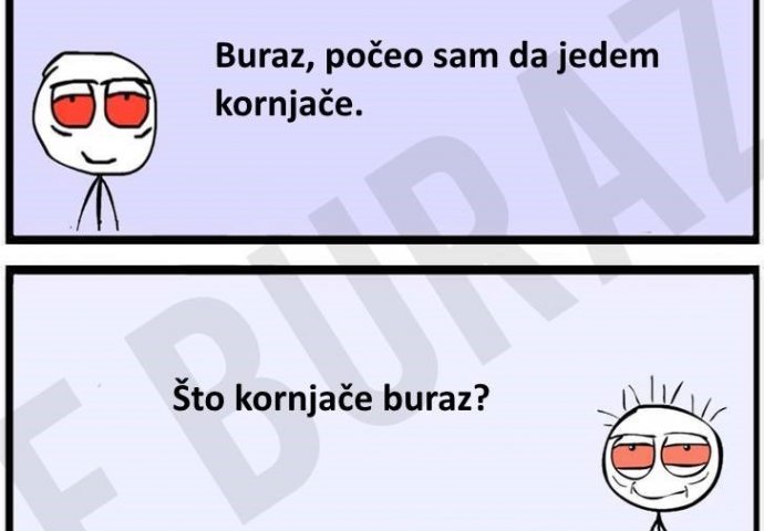 Buraz je počeo da jede kornjače i ima dobar razlog za to!