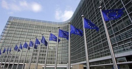 Domaći i međunarodni zvaničnici o dostavljanju Upitnika Evropske komisije