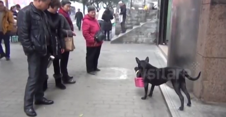 Jedan čovjek je usvojio napuštenog psa, ali nećete vjerovati šta je uradio njegov ljubimac (VIDEO)