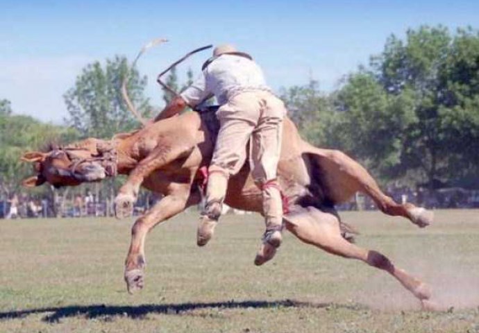Jedino što vam preostaje nakon što ugledate ove slike je da se pošteno nasmijete! 