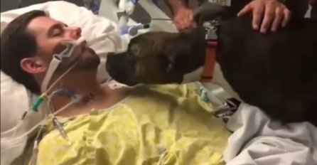 Snimak koji je dirnuo milione: Pas se oprašta od vlasnika koji umire, ovo su njihove posljednje sekunde (VIDEO)