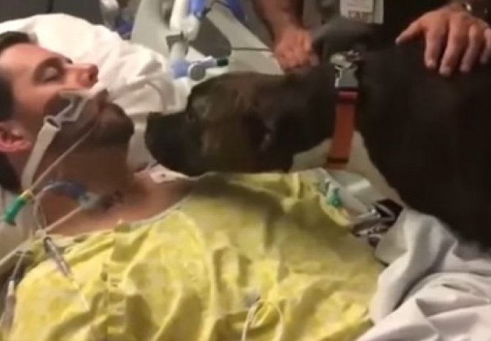 Snimak koji je dirnuo milione: Pas se oprašta od vlasnika koji umire, ovo su njihove posljednje sekunde (VIDEO)