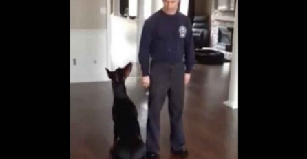 Ovako dresiranog psa još niste vidjeli: Ono što ovaj Doberman radi je prosto nevjerovatno (VIDEO)
