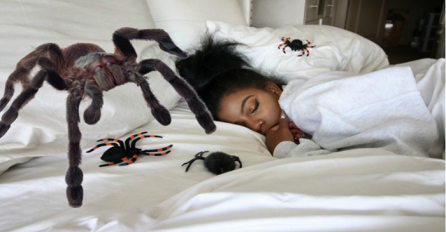 Momak iz pakla: Njegova djevojka je legla da spava a on joj je posuo tarantule po krevetu (VIDEO)