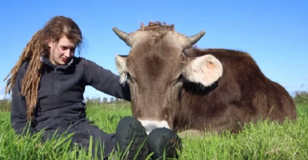 Sjela je na travu a onda je kraj nje legao bik, nastavak će vas zalijepiti za monitor (VIDEO)