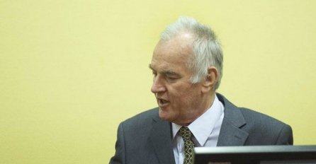 Posljednji dan iznošenja završnih riječi: 'Nevjerovatne' priče odbrane Mladića