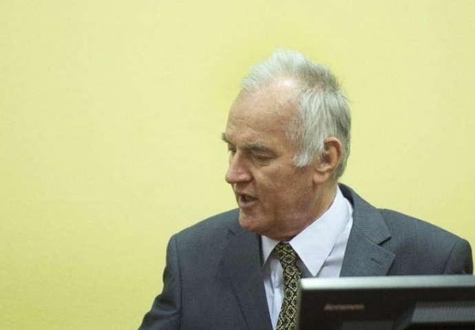 Posljednji dan iznošenja završnih riječi: 'Nevjerovatne' priče odbrane Mladića