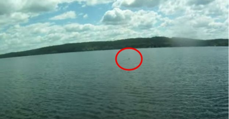 Ovo nikako nisu očekivali: Plovili su čamcem po mirnom jezeru, a onda su primjetili nešto u vodi (VIDEO)