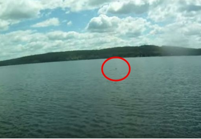 Ovo nikako nisu očekivali: Plovili su čamcem po mirnom jezeru, a onda su primjetili nešto u vodi (VIDEO)