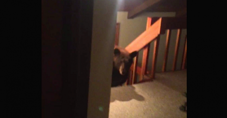 Bio je u svojoj sobi kada se začuo neobičan šum, a onda je otvorio vrata i zaledio se od straha (VIDEO)