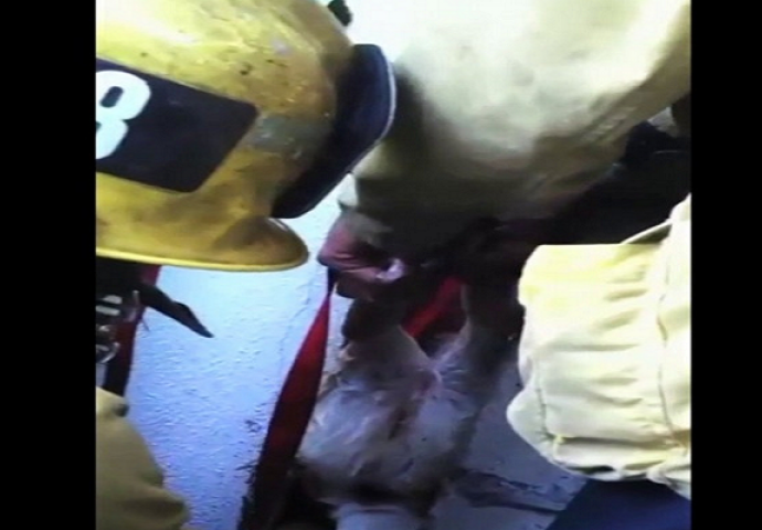 Čuli su čudne zvukove koji su dolazili iz procjepa u zidu, pogledajte šta su izvukli ovi vatrogasci (VIDEO)