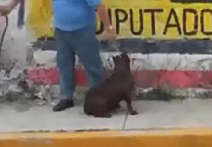 Krvnički je krenuo da udari psa, a vlasnik je još GORE prošao (VIDEO) 