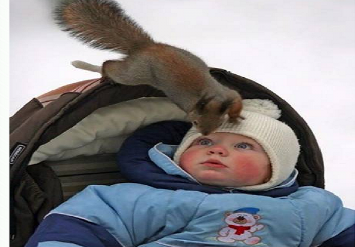 Ovako to izgleda kada jedna fotografija govori više od hiljadu riječi