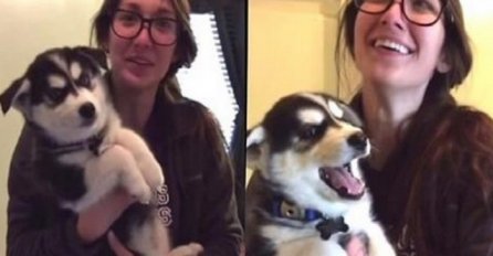 Medeni psić se raspričao, pa je vlasnicu nasmijao do suza (VIDEO)
