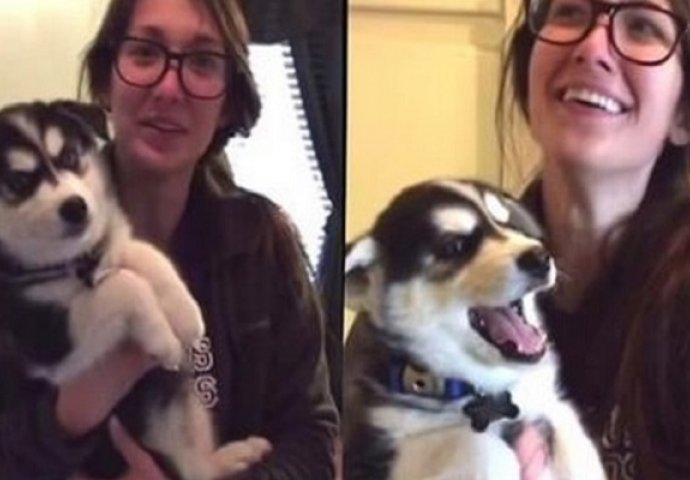 Medeni psić se raspričao, pa je vlasnicu nasmijao do suza (VIDEO)