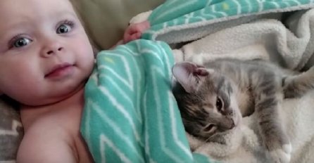 Jedne večeri mačka se ušunjala u krevet ove bebe, ostatak priče već je osvojio svijet (VIDEO)