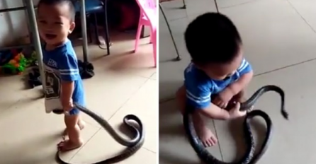 Ušunjala im se zmija u kuću, a onda je dvogodišnji dječak uradio ovo (VIDEO)