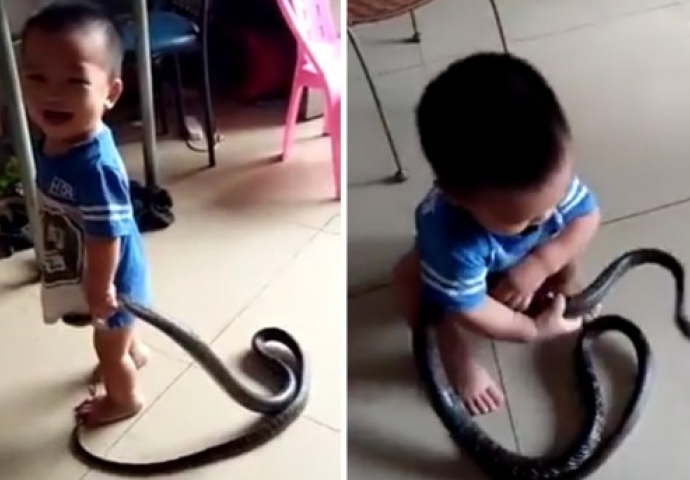 Ušunjala im se zmija u kuću, a onda je dvogodišnji dječak uradio ovo (VIDEO)