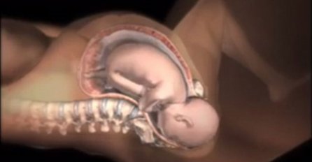 Fascinantno: Pogledajte kako se žensko tijelo otvara za izlazak bebe! (VIDEO)