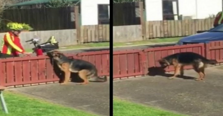 Vlasnik krišom snimao poštara, pogledajte šta nepoznati čovjek radi njegovom psu (VIDEO) 