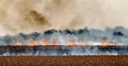 Bihać: Izgorjelo 30 dunuma aronije, komšija palio korov