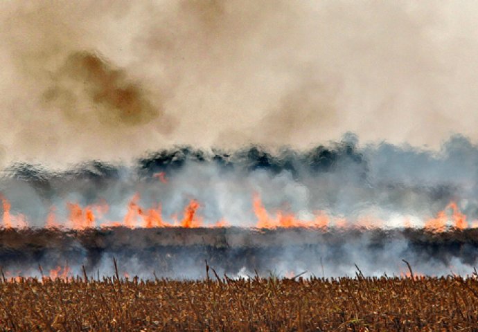 Bihać: Izgorjelo 30 dunuma aronije, komšija palio korov