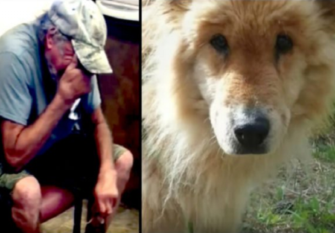 Transformacija psa koji se izgubio u šumi, natjerala je njegovog vlasnika da zaplače (VIDEO)