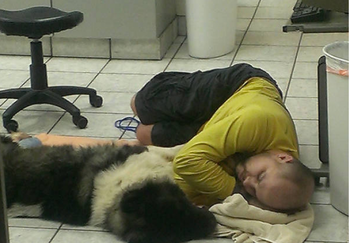 Ljubav je čudna stvar, dolazi u toliko nevjerovatnih oblika  (FOTO)