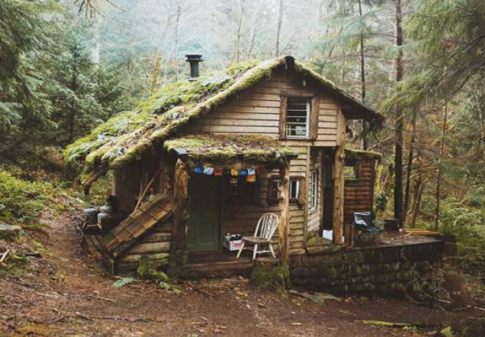 Ljubav je čudna stvar, dolazi u toliko nevjerovatnih oblika  (FOTO)