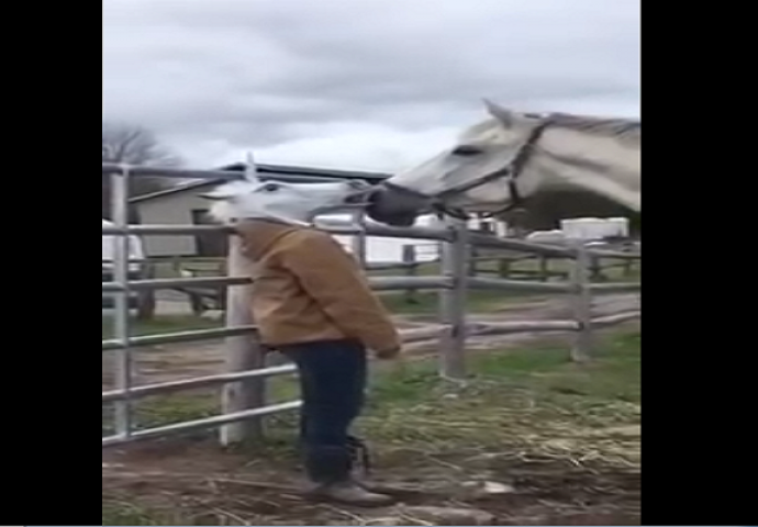 Stavila je na glavu masku konja a onda je prišla pravom konju, pogledajte šta će se dogoditi na 0:04 sekundi (VIDEO)