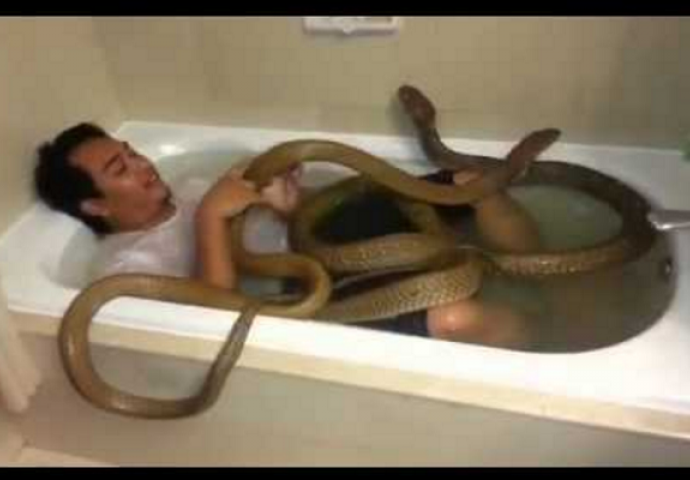 Kupao se sa dvije zmije: Kada je zatražio poljubac, dogodilo se nešto neočekivano (VIDEO)