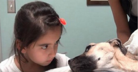 Pogledala je umirućeg psa u oči, nekoliko sekundi kasnije se događa neobjašnjivo (VIDEO)
