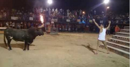 Stao je ispred ogromnog bika i počeo ga izazivati, to mu je bila najveća greška u životu (VIDEO)