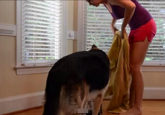 Stavila je štene u kavez i pokrila ga dekicom, pogledajte šta se dogodilo u nastavku (VIDEO)
