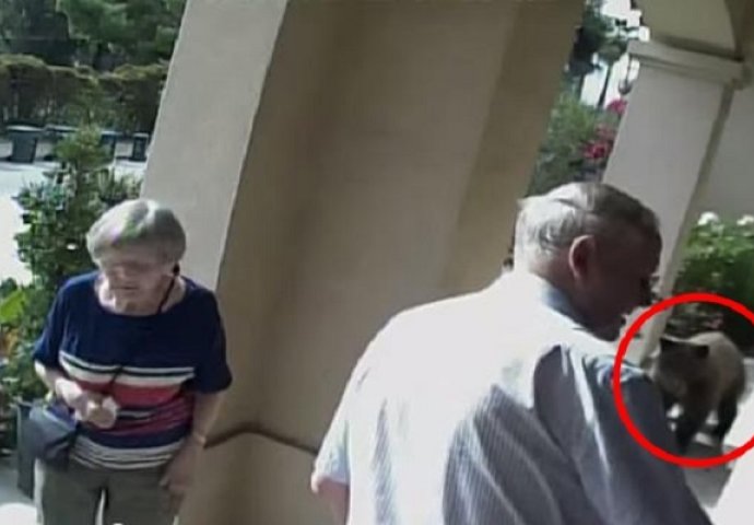 Starac i starica izlazili su iz svoje kuće, a tamo ispred ih je čekalo nešto zastrašujuće (VIDEO)