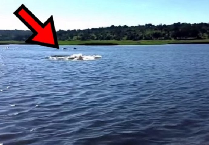 Ploveći rijekom u daljini je ugledao neobičan vrtlog, ni sanjao nije da će ovo iskočiti iz vode (VIDEO)