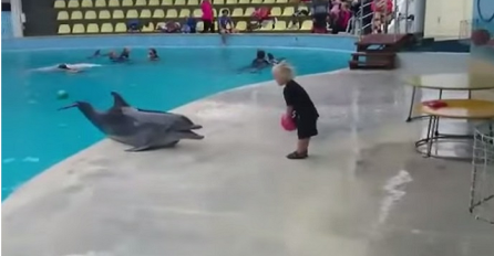 Ovaj delfin je iskočio iz bazena, a ono što je uradio s mališanom će vam uljepšati dan (VIDEO)