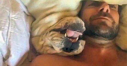 Njegov pas mrzi da ustaje rano ujutru, ono što se dešava svako jutro je urnebesno smiješno (VIDEO)